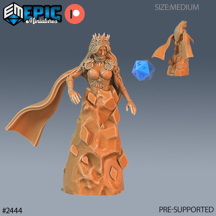 Ice Sorceress Shield / Female Frost Wizard / Human Witch / Snow Magician image