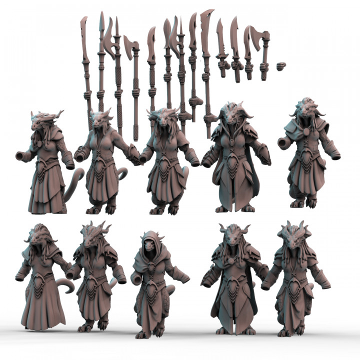 Dragonfolk 2 Warriors (pre-supported) image