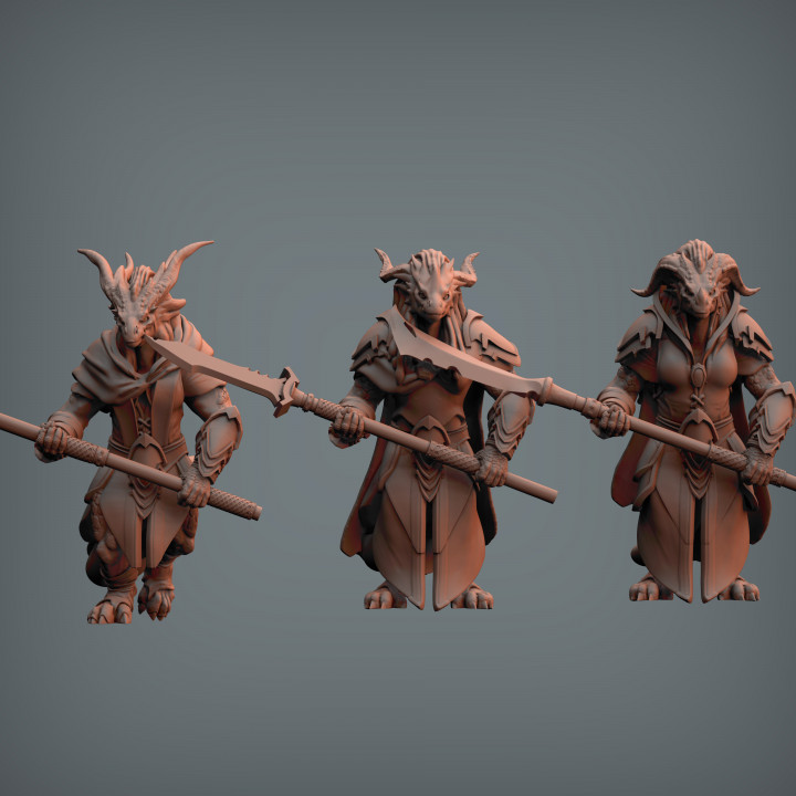 Dragonfolk 2: Warriors 2 (pre-supported) image