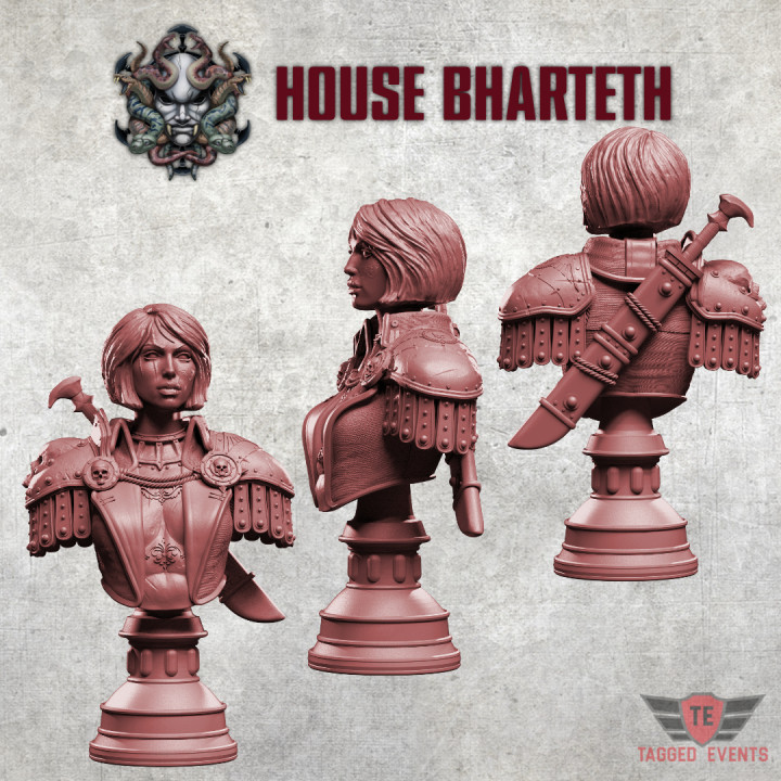 House Bharteth - Rogue Trader Bust image