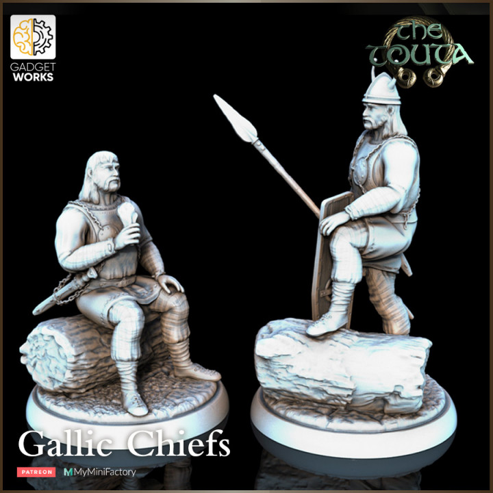 3D Printable Gaul / Celtic Villagers NPC Value Pack by Gadgetworks