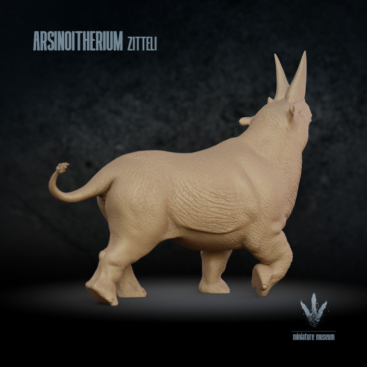 Arsinoitherium zitteli : The Twin Horned Mammal from the Cenozoic image