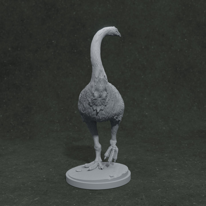 Moa turning 1-20 scale pre-supported prehistoric bird image