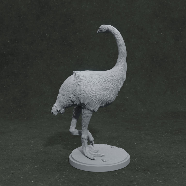 Moa turning 1-20 scale pre-supported prehistoric bird image