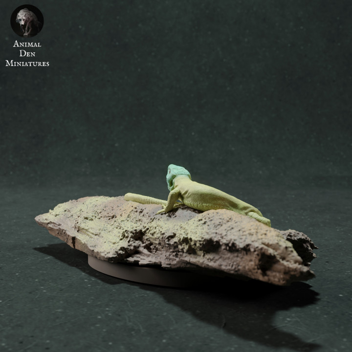 European Green Lizard
