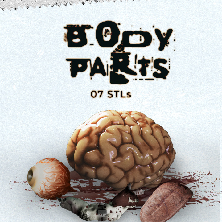 Body Parts image