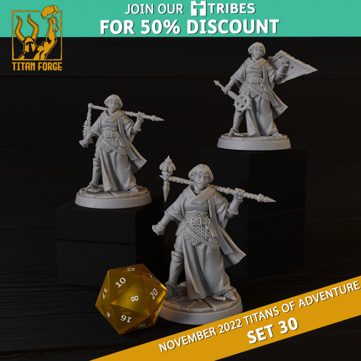 3D Printable RPG - DnD Hero Characters - Titans of Adventure Set 30 by ...