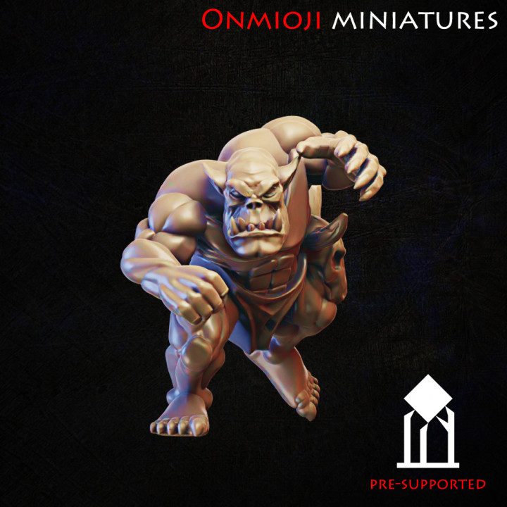 Fantasy football ork