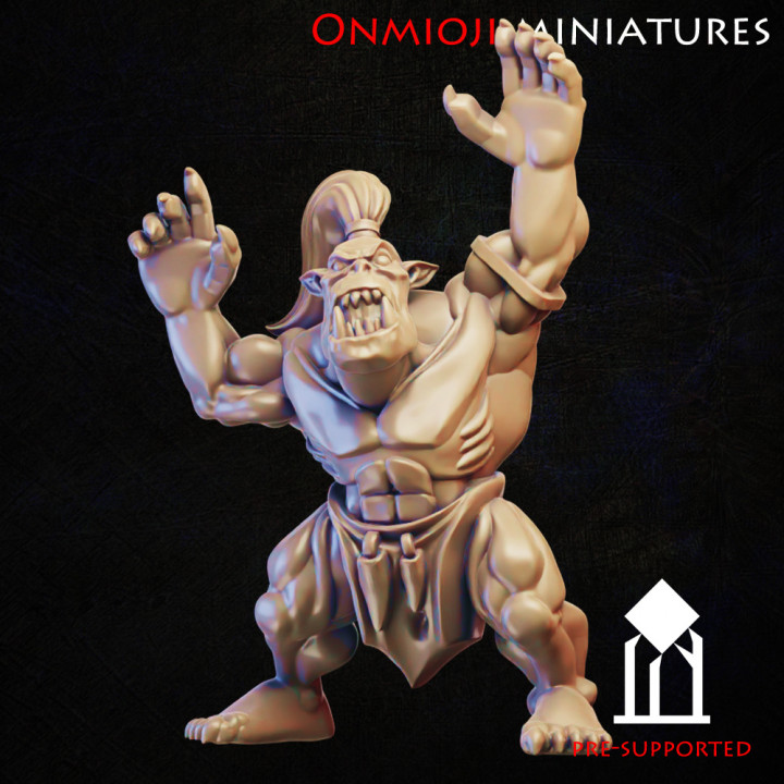 Fantasy football ork