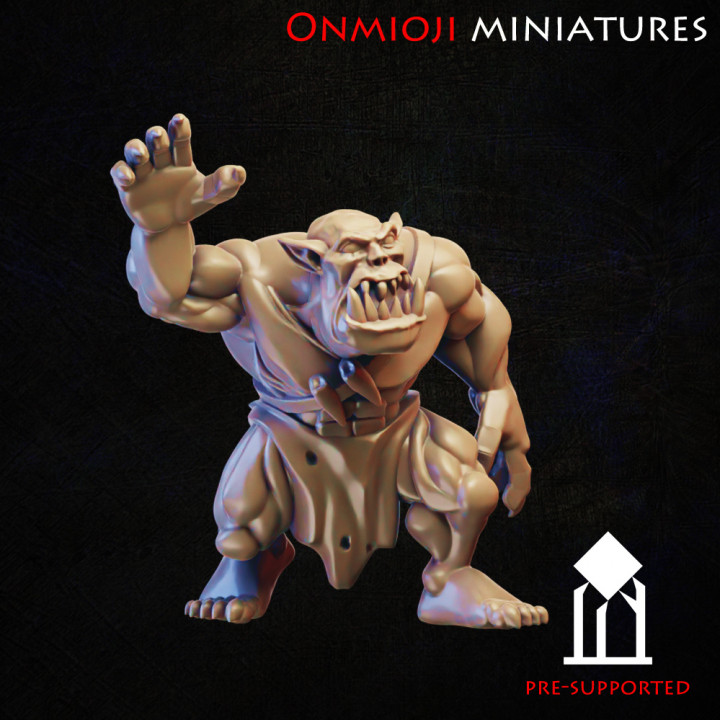 Fantasy football ork