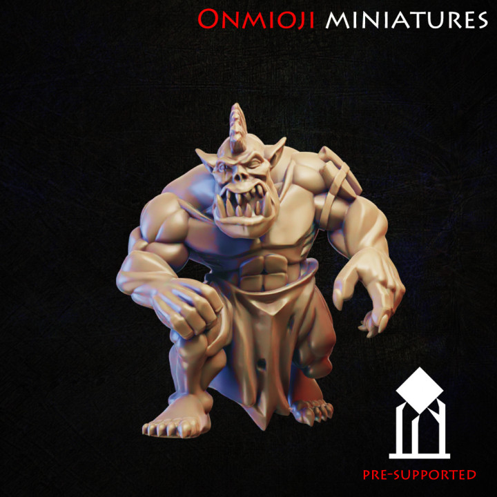 Fantasy football ork
