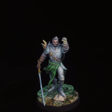 Picture of print of Raynald "Dawnbringer" - Paladin