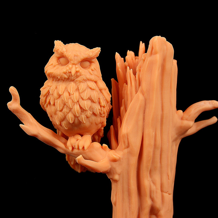 Owl on Tree image
