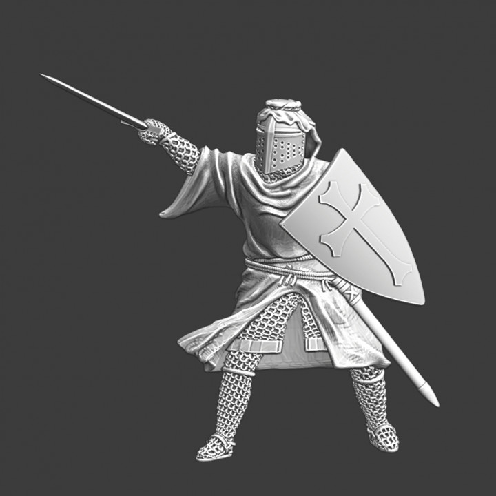 Medieval Hospitaller Knight - Fighting image