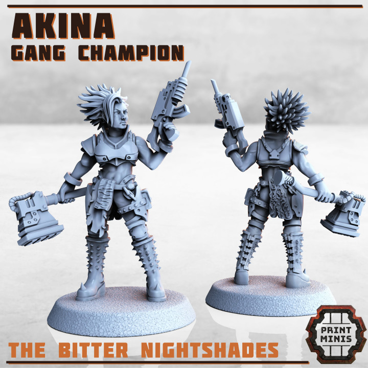 Akina - Bitter Nightshade Champion image