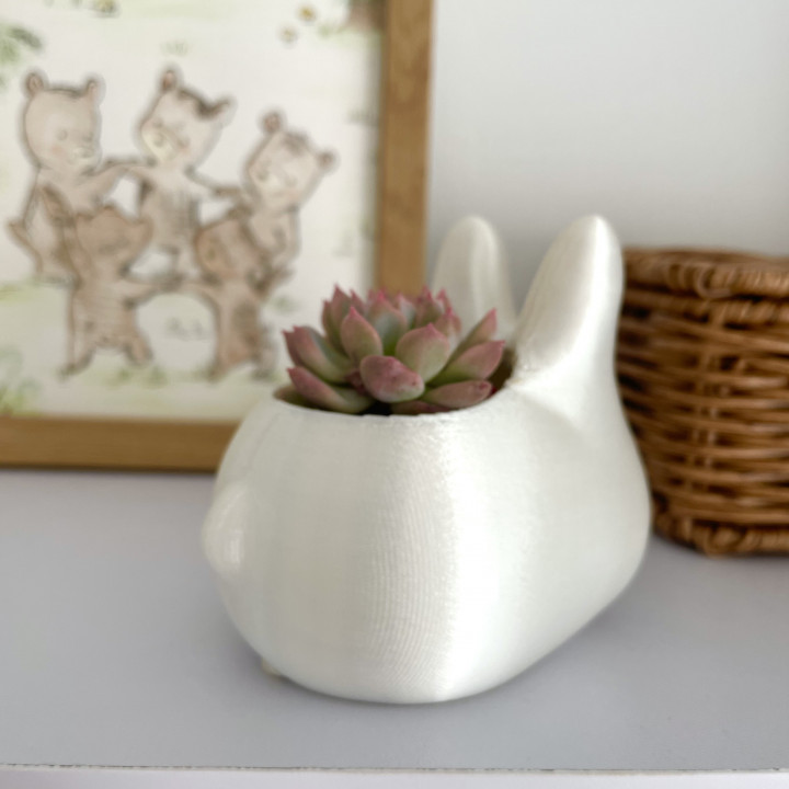 Minimalist Bunny Planter image