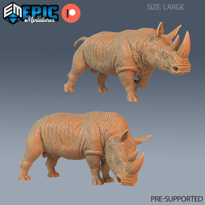 Rhino Set / Rhinocero / Wild Southern Animal / Utopian Predator / African Encounter image