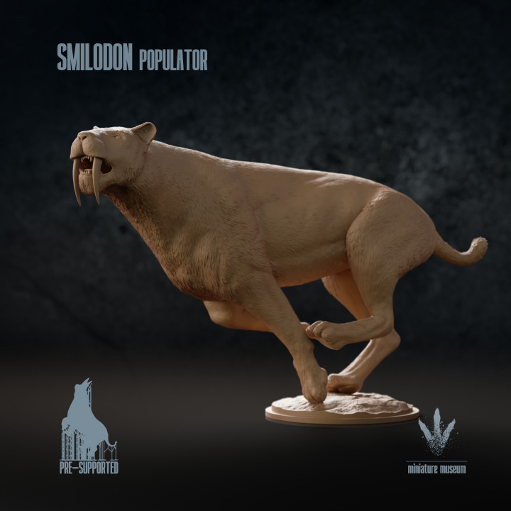 Smilodon populator : Pursuit Predation image