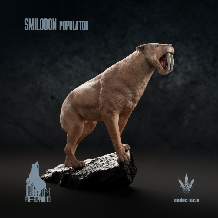 Smilodon populator : Looking over his territory image