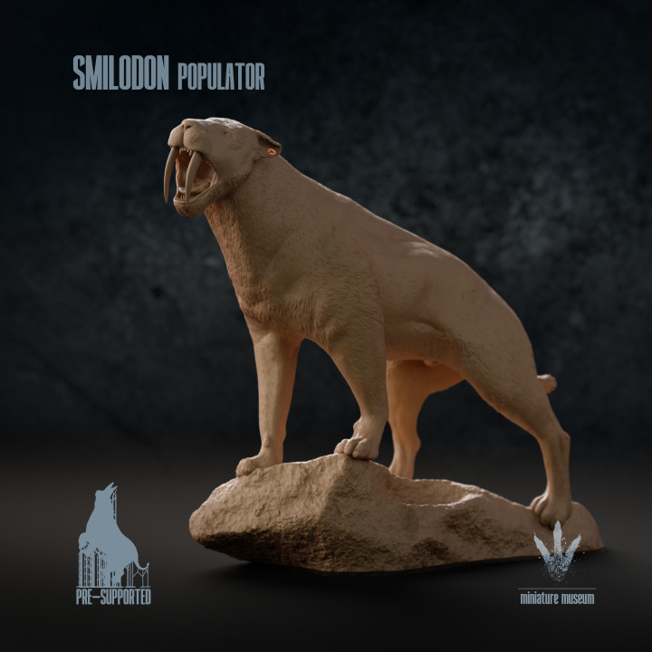 Smilodon populator : Looking over his territory