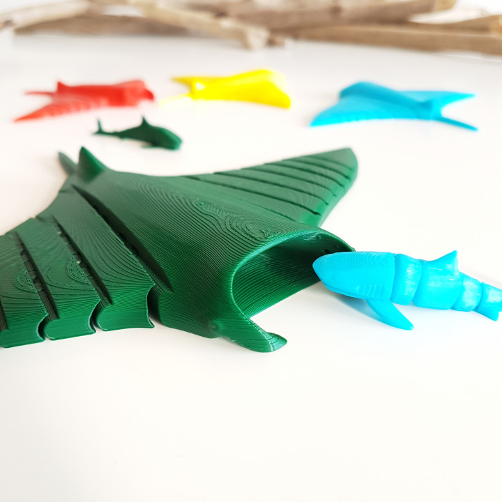 3D Printable Manta Ray Flexi by Boby Green Creations