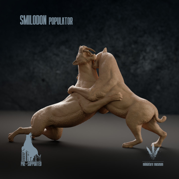 Smilodon populator : Territorial Fighting image