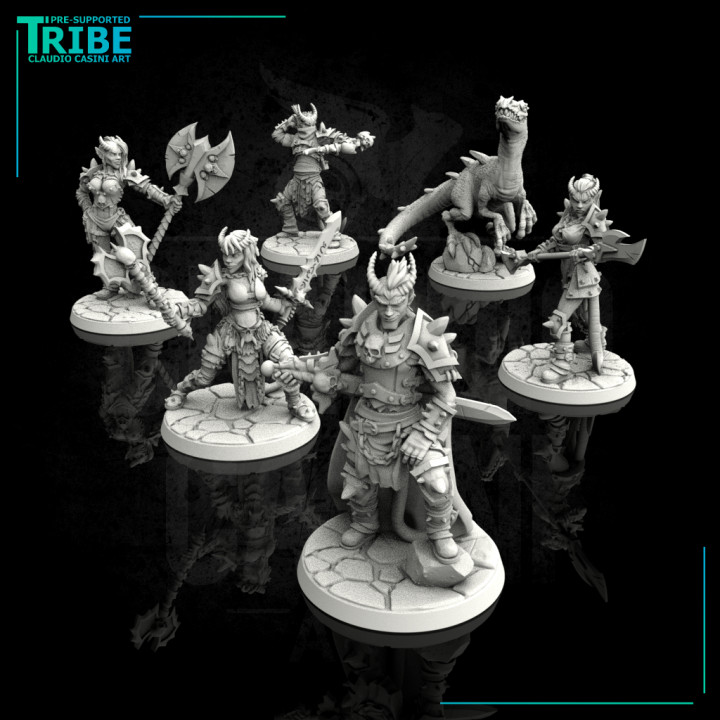 (Bundle) Tiefling barbarian squad image