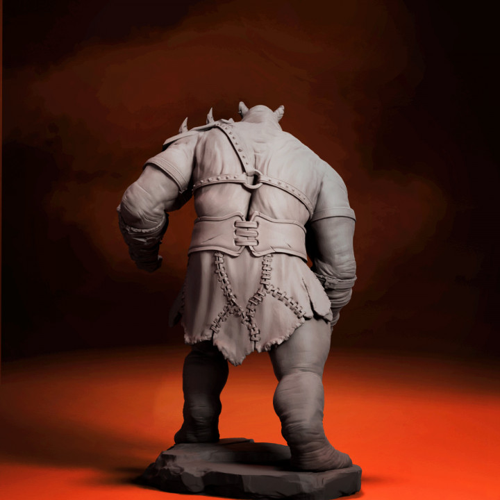 RAINO FANTASY FOOTBALL -The Rhino warrior image