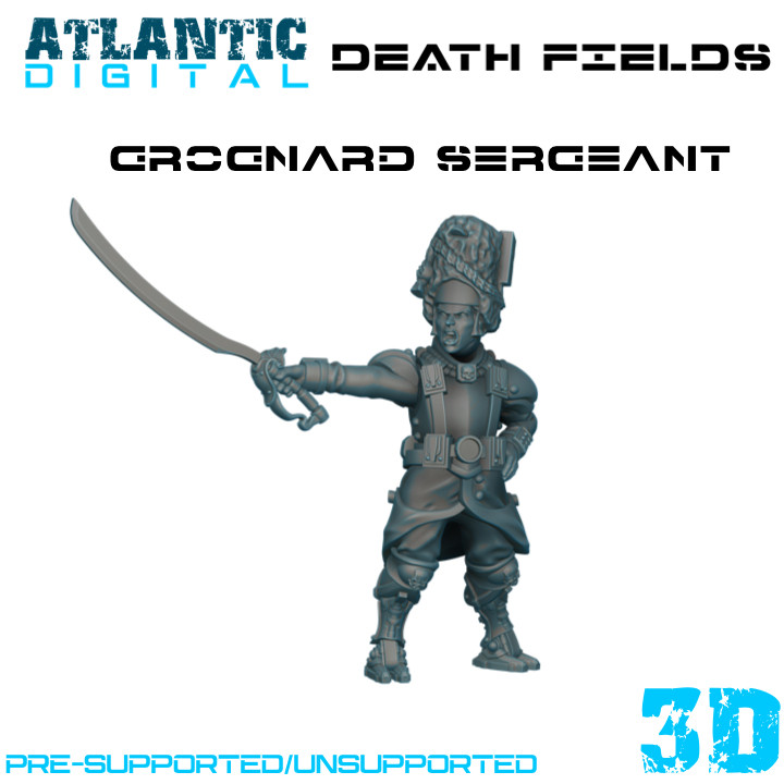 Grognard Sergeant image