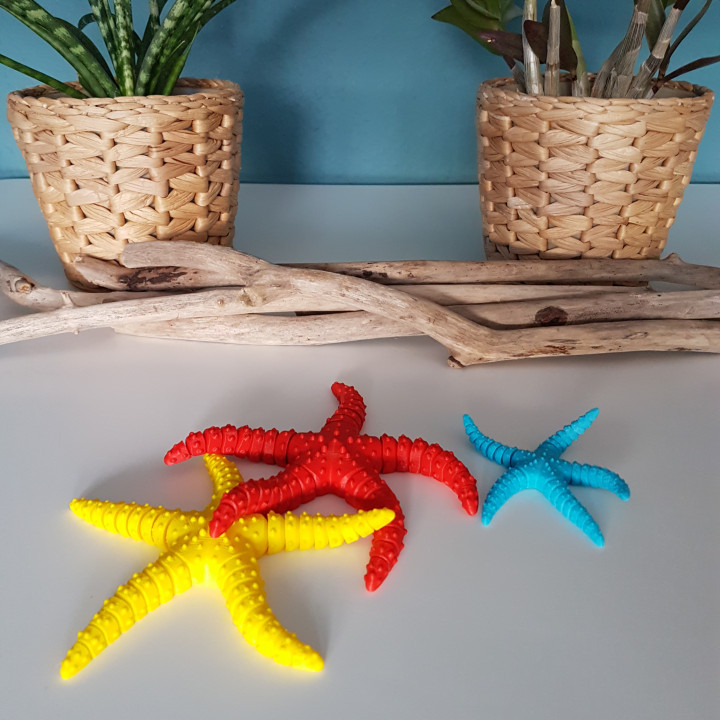 Starfish Flexi image