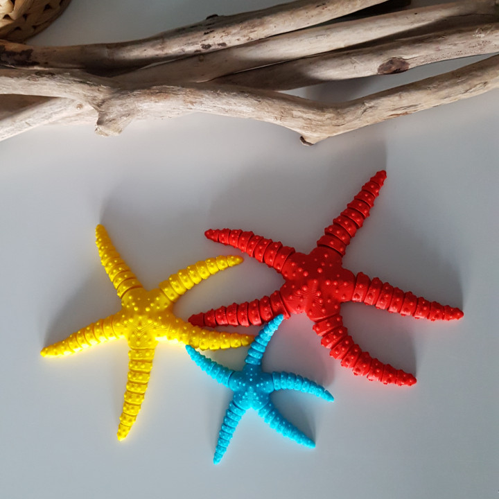 Starfish Flexi image