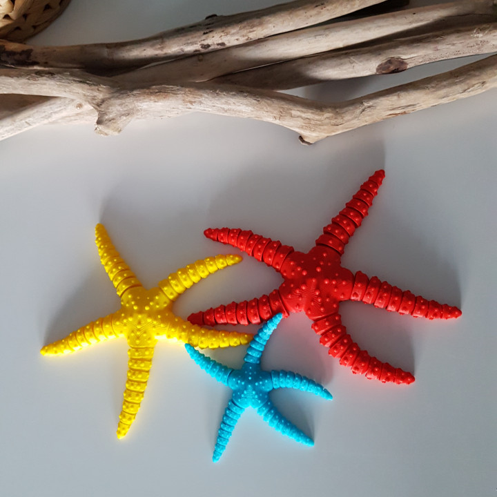 Starfish Flexi