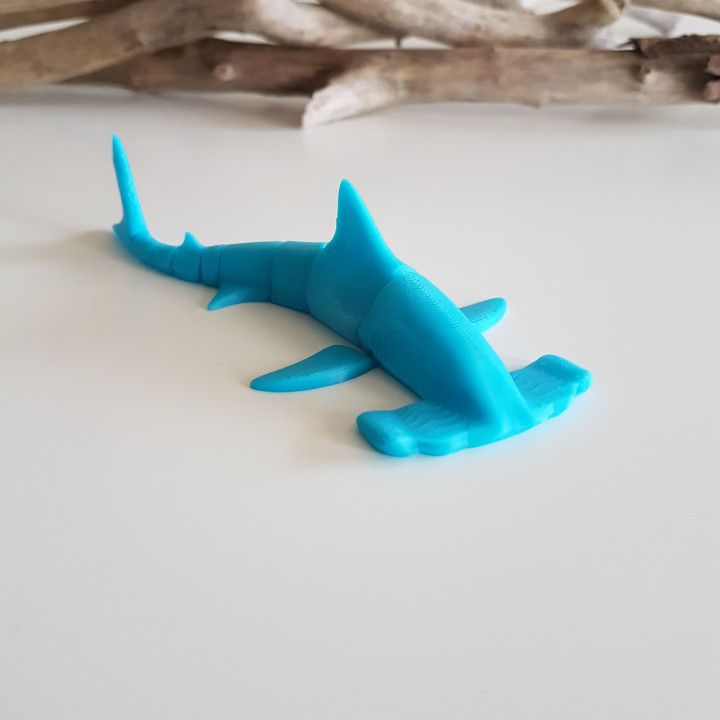 Hammerhead Shark Flexi image