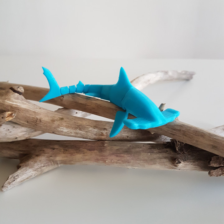 Hammerhead Shark Flexi image