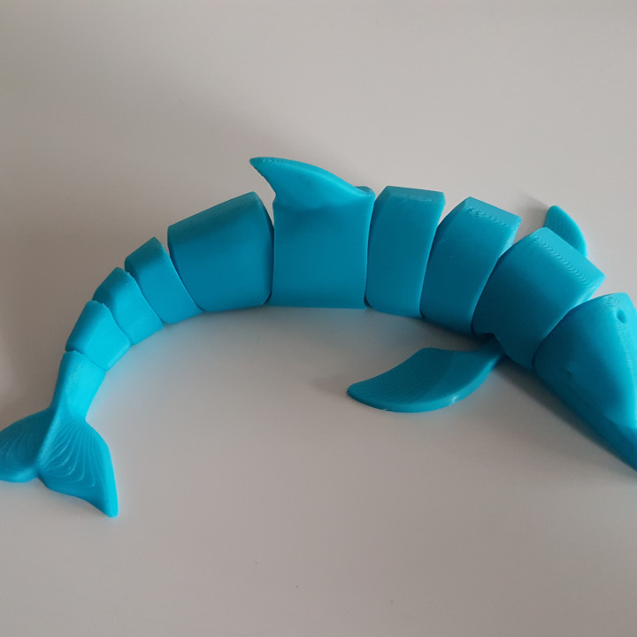 Dolphin Flexi image