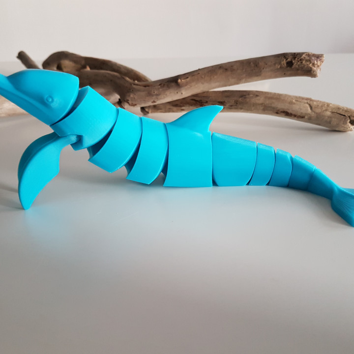 3d Printable Dolphin Flexi By Boby Green Creations 7975