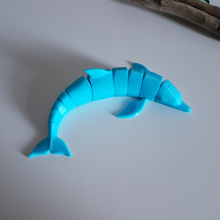 Dolphin Flexi image