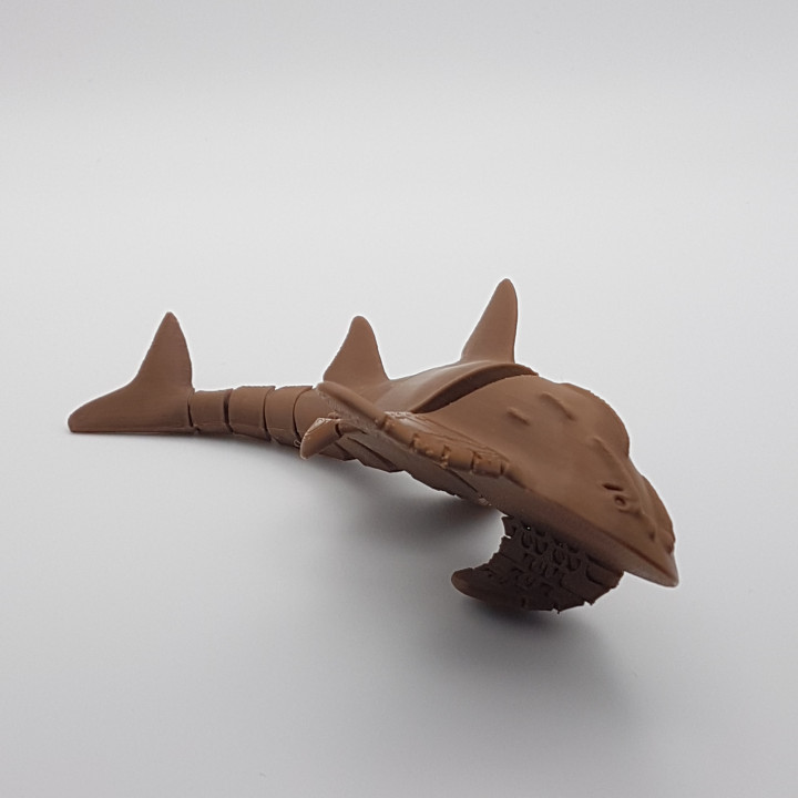 Shark Ray (Bowmouth Guitarfish) Flexi