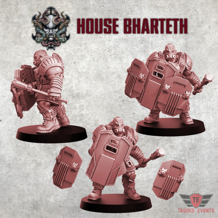 House Bharteth - Law Enforcement Ogryn image