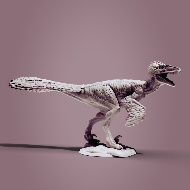 Dino pack image