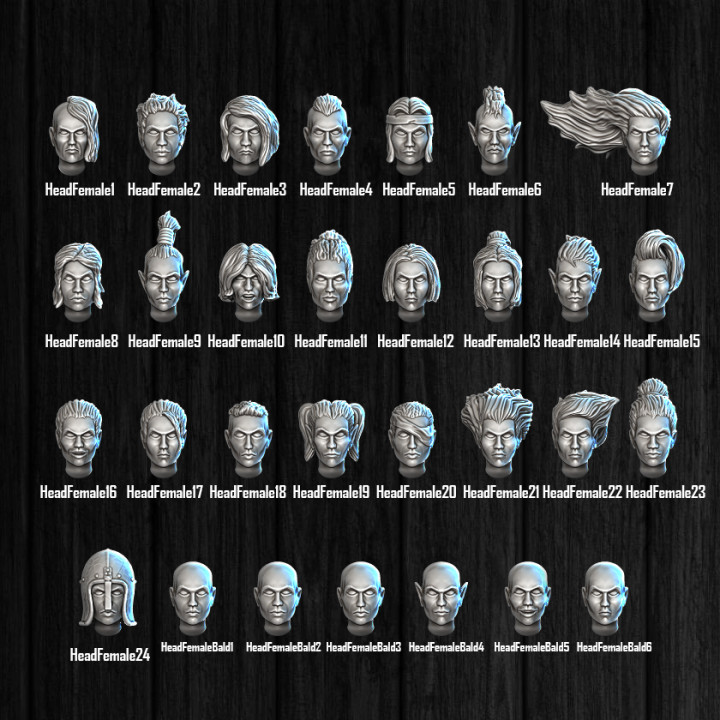 The Unlawful Bunch Fantasy Miniatures Heads Pack image