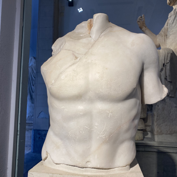 Portion of a Male Torso image