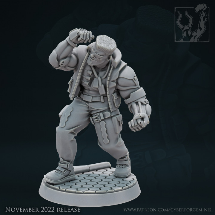Cyber Forge Katanas and Hexes 3 Colonel Meine
