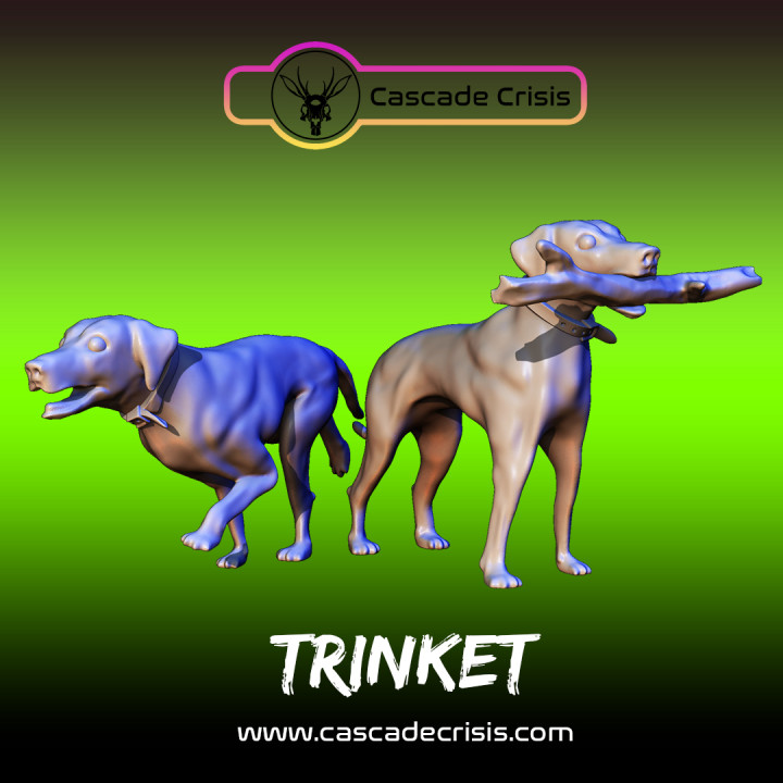 Trinket (Dog) 2 Poses image