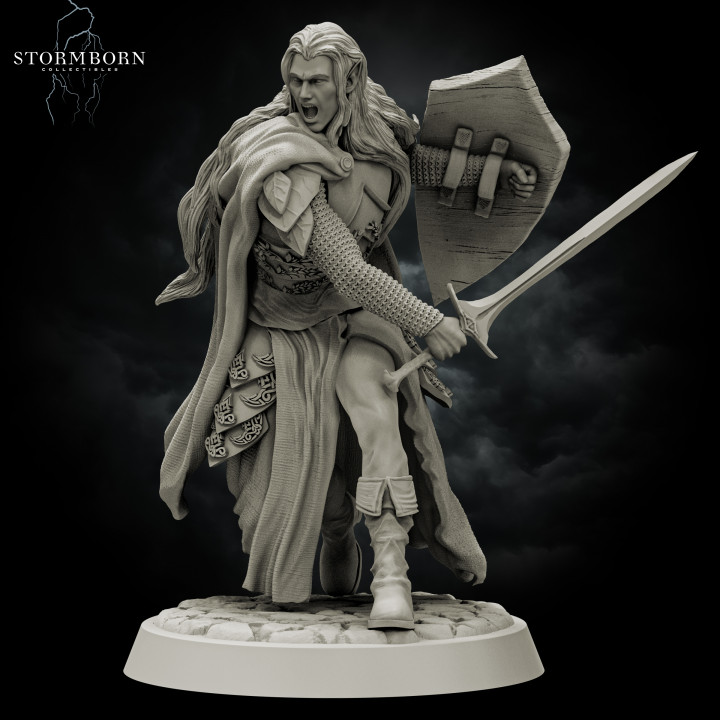 Elven Warrior image