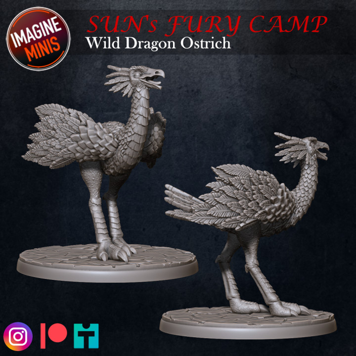 Sun's Fury Camp - Dragon Ostrich Wild Pack image
