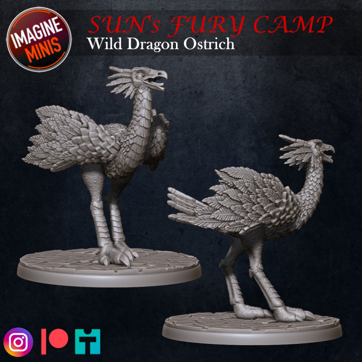 Sun's Fury Camp - Dragon Ostrich Wild Pack