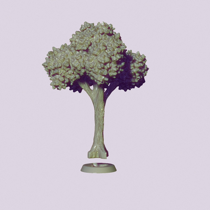 TREE image