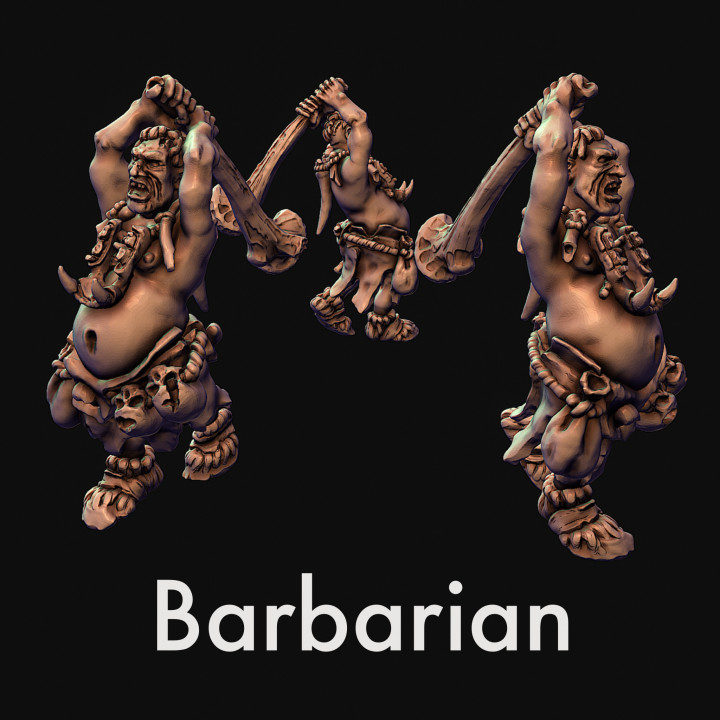 Barbarian, fighter image