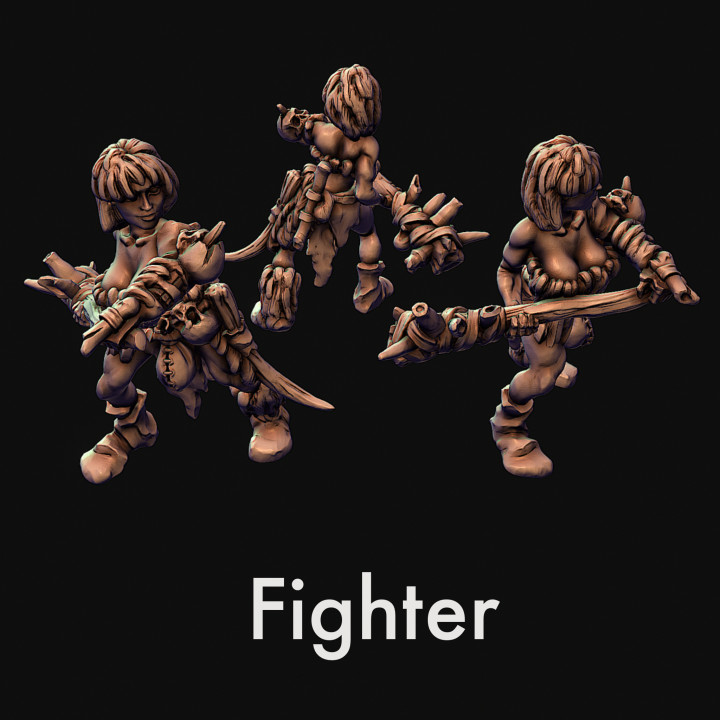 Fighter, paladin, barbarian